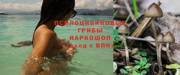 амф Аркадак